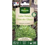 Vilmorin - Sachet graines Laitue Batavia Reine des glaces