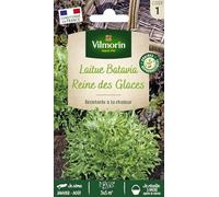 Vilmorin - Sachet graines Laitue Batavia Reine des glaces