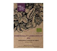 Laitue iceberg 'Laibacher Eis' (Lactuca sativa) Bio env. 250 semences