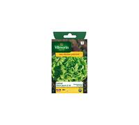 Vilmorin - Sachet graines Laitue Gotte jaune d'or