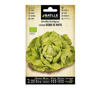 Laitue reine de mai - ECO