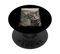 Lake District Chat Lover Voyage drôle Vintage PopSockets PopGrip Adhésif