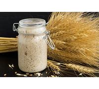 Lake District - Levain Kombuchaorganic® certifiée bio pour tous les types de farine, levure naturelle très puissante et maturée pour la fabrication de pain naturel