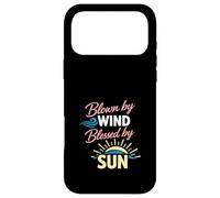 Lake Hair Don't Care Messy Boat Hair Lake Tan Summer Vibes Coque pour iPhone 17 Pro Max