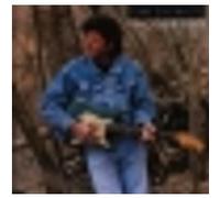 Tony Joe White – Lake Placid Blues