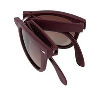 Lakeland Active Camerton Lunettes de soleil polarisées pliables, Bruyère mate, Taille unique