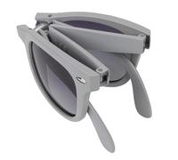 Lakeland Active Camerton Lunettes de soleil polarisées pliables, Gris cendré mat, Taille unique