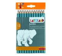Lakeland Pochette de crayons HB Fibre de carbone Lot de 12 (Import Royaume Uni)