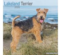 Lakeland Terrier Calendar 2026 Square Dog Breed Wall Calendar - 16 Month