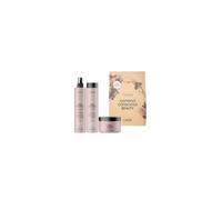Lakme Tkn Frizz Control Retail Pack : Shampooing 300 Ml + Traitement 250 Ml + Protecteur 300 Ml