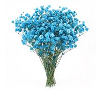 LAKPYN 50 PièCes Souffle De BéBé Fleurs SéChéEs,DéCoration De Fleurs Artificielles,Pour Diy Cadres Photo, Marque-Pages, Cartes De VœUx, Collection De Cadeaux (Bleu)