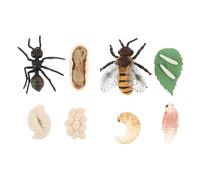 LALADEFIEE 2 Ensembles Modèles Cycle de Vie Insectes Éducatif Garçon Fille Simulation Croissance Abeille Insecte Enseignement