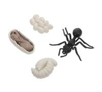 LALADEFIEE Modèle Cycle Vie Fourmi Ouvrière Kit Éducatif Garçon Fille Jeu Cognitif Scientifique Plastique