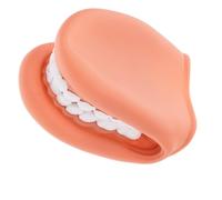 LALADEFIEE Modèle de Dents pour Enseignement en Pvc Démonstration du Brossage, Apprentissage Interactif pour Écoles et Cabinets, Usage Garçon et Filles et Étudiants