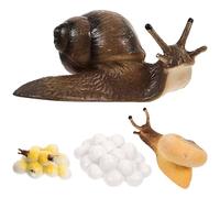 LALADEFIEE Modèles D'escargots Factices 4 Pièces en PVC Coloré Cycle de Croissance Animale Simulé Éducatif Cognitif pour Garçon et Filles, Apprentissage Biologique et Découverte Nature