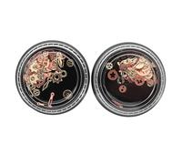 LALAFINA 2pièces Charms Steampunk Avec Design De Roue Dentée Décorations De Nail Art Punk Et Rivets Rétro Pour Accessoires De Manucure