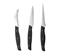 LALAFINA Outil de Sculpture de Fruits en Acier Inoxydable, Kit 3 Pièces Facile à Utiliser Design Moderne pour Restaurant et Hôtel