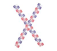 LALAFINA Règle de Mesure de Niveau d'eau en Aluminium Auto-Adhésive 2 Autocollants 39,4 Pouces pour Étangs et Piscines Surveillance Précise du Niveau Liquide