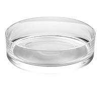 LALAFINA Vase Rond en Verre Transparent 20x20x8 Cm pour Plantes Hydroponiques Jardinière en Verre Multifonctionnelle Décoratif pour Aquarium et Intérieur