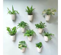 LáLáGreen Lot de 10 Pots de Fleurs muraux en Plastique à arrosage Automatique pour Plantes d'intérieur Blanc 10,2 cm Système Vertical hydroponique Moderne pour Plantes vivantes et Jardin