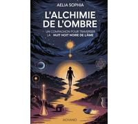 l'alchimie de l'ombre: Un compagnon pour traverser la nuit noire de l'âme