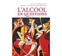 L'alcool en questions - Vincent Seutin - Mardaga - broché - Essai