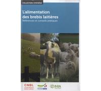 L'alimentation Des Brebis Laitières - Références Et Conseils Pratiques