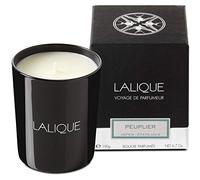 LALIQUE Candle 190G - Peuplier Aspen, article polyvalent pour usage quotidien