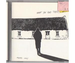 Lally, Michael - What You Find