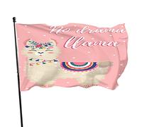 Lama Floral Wreath Garden Flag 0,9 x 1,5 m Abstrait Animal Alpaga Smile No Drama Dot Rose Polyester Yard Drapeaux Maison Patio Pelouse Intérieur Extérieur Bannière de Voeux