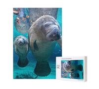 Lamantin de mer,Puzzle Familial en Bois de 300 pièces pour Adultes et Adolescents
