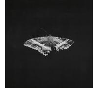 Kendrick Lamar – To Pimp a Butterfly – Vinyle – Édition limitée 10e anniversaire (Interscope)