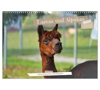 Lamas et alpagas - des beautés sud-américaines, Version française (Calendrier mural 2026 DIN A3 portrait), Calendrier CALVENDO mensuel