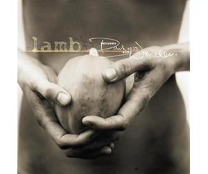 Lamb - Between Darkness And Wonder