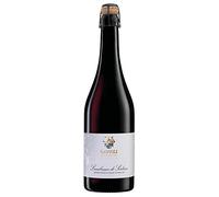Lambrusco di Sorbara Secco DOC Gavioli 0,75 ℓ