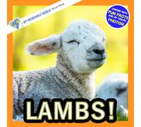 Lambs!: A My Incredible World Picture Book for Children