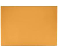 Lame 70 x 100 (25) Canson couleur unie/fin 220 g cuir