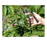 Lame de rechange pour le sécateur de jardin