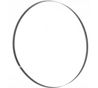 Lame de scie à ruban 1575x10x0,36 mm 6 ZpZ Holzmann Maschinen BSB230B10 N/A