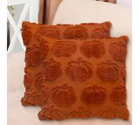 LAMEK Lot de 2 Housses de Coussin en Forme de Citrouille - 45 x 45 cm - Motif Automne - sans Inscription - Décoration de canapé - Décoration d'automne pour intérieur, Voiture, canapé, Chambre à