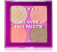 LAMEL All-Over Face Palette palette visage entier teinte 01 11.5 g