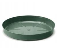 Lamela Soucoupe pour Pot n° 1, Avocat