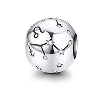 LaMenars Breloque Femme Argent Sterling 925 Charms et Perles avec 12 Constellations Charme Compatible pour Pandora & Européen Bracelet Collier (LION (23 juillet - 22 aout))