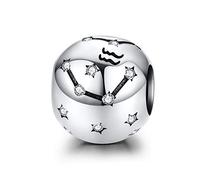 LaMenars Breloque Femme Argent Sterling 925 Charms et Perles avec 12 Constellations Charme Compatible pour Pandora & Européen Bracelet Collier (VERSEAU (20 janvier - 18 février))