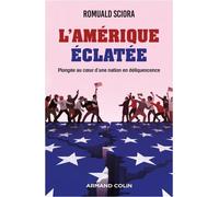 L'amérique Éclatée - Plongéé Au Coeur D'une Nation En Déliquescence
