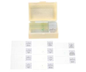 Lames de Microscope en Verre, Vues Claires, Manipulation Sûre | Compatibles Plupart des Microscopes, Usage Scolaire et Laboratoire, pour Élèves et Home-schoolers