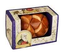 Darwin Dinosaur Egg Great Minds Range GM1097