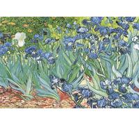Laminated Posters Van Gogh - Iris POSTER dimensions 91,4 x 61 cm (91.5 x 61 cm)