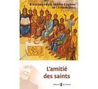 L'amitié des saints 24 portraits de saints à travers 2000 ans d'histoire - Marie-Eugène De L'Enfant-Jésus - Du Carmel Eds - broché - Essai