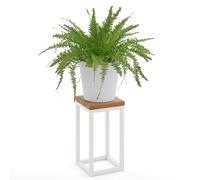 LAMO Manufaktur 30 cm Support Plantes | Piédéstal pour Plantes | Porte-plantes Interieur Cadre Blanc Gris | Plateau 100% Bois Massif Couleur: Foncé